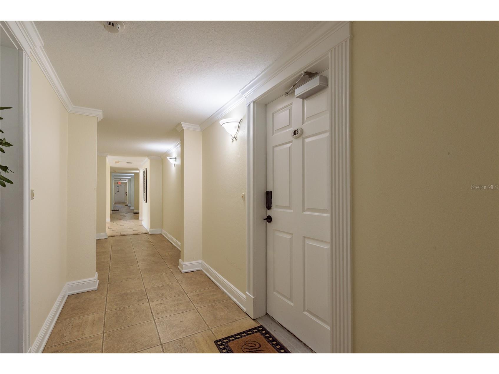 950 Broadway #103 Dunedin FL 34698 TB8486858 image12