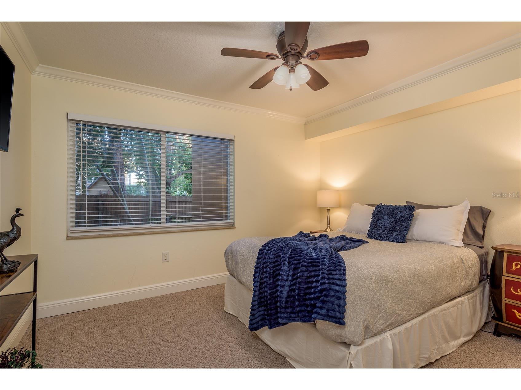 950 Broadway #103 Dunedin FL 34698 TB8486858 image20