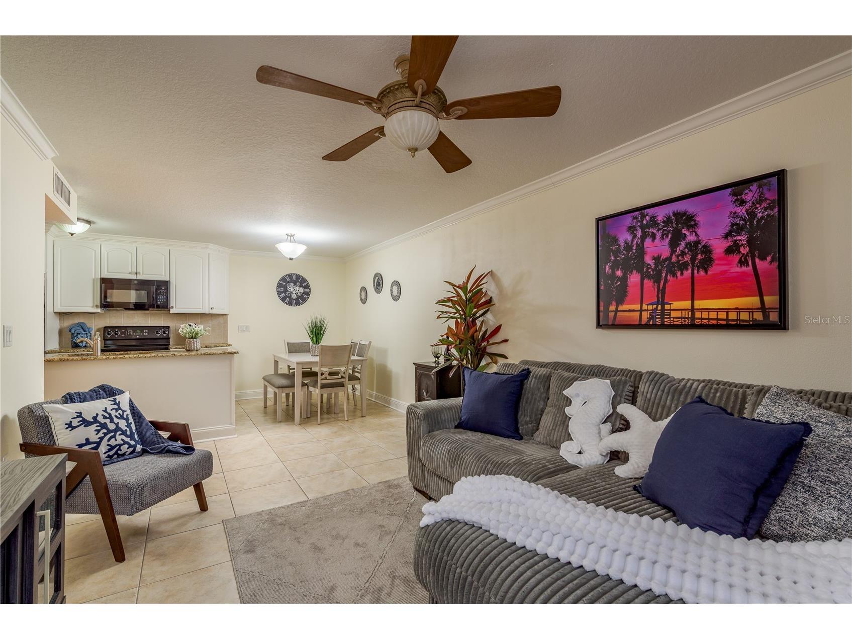 950 Broadway #103 Dunedin FL 34698 TB8486858 image4