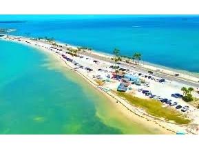 950 Broadway #103 Dunedin FL 34698 TB8486858 image47