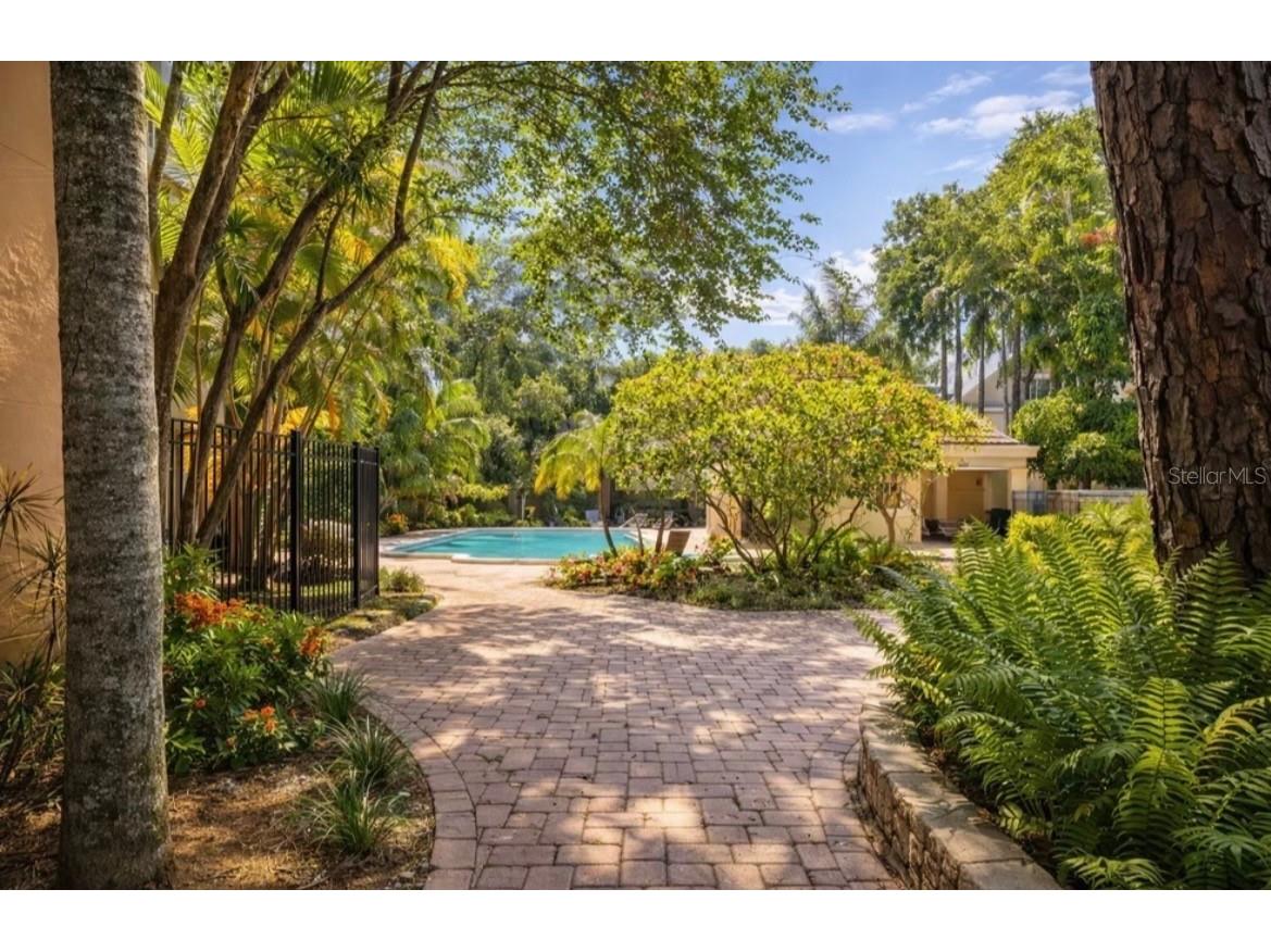 950 Broadway #107 Dunedin FL 34698 TB8479278 image15