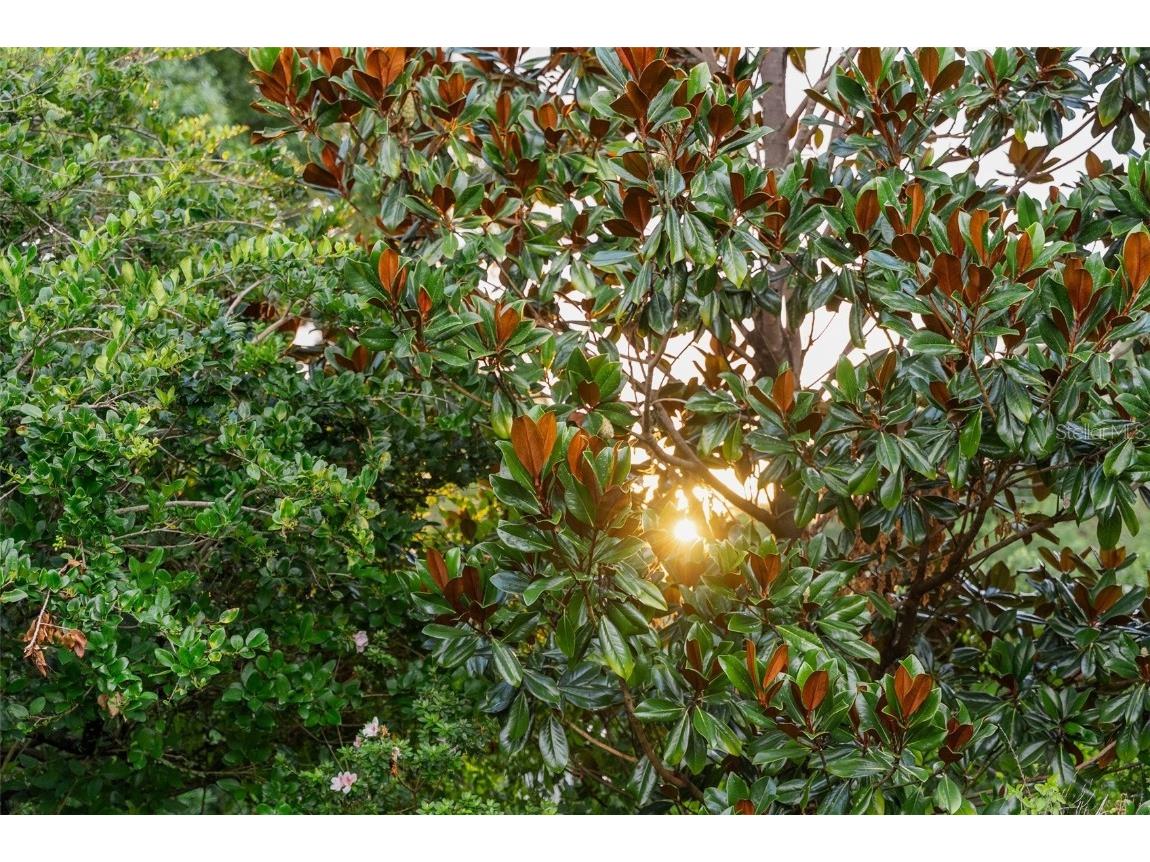 950 N Lake Otis Drive SE Winter Haven FL 33880 - LAKE OTIS TB8443606 image13