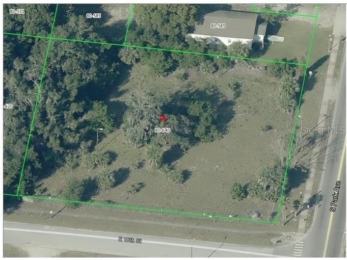 950 S Park Avenue Apopka FL 32703 O6389057 image1