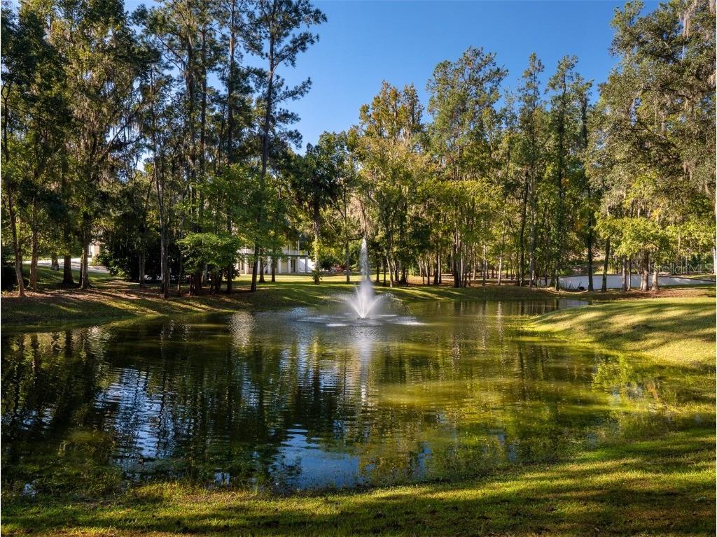 950 SW 43rd Place Ocala FL 34471 OM712860 image10