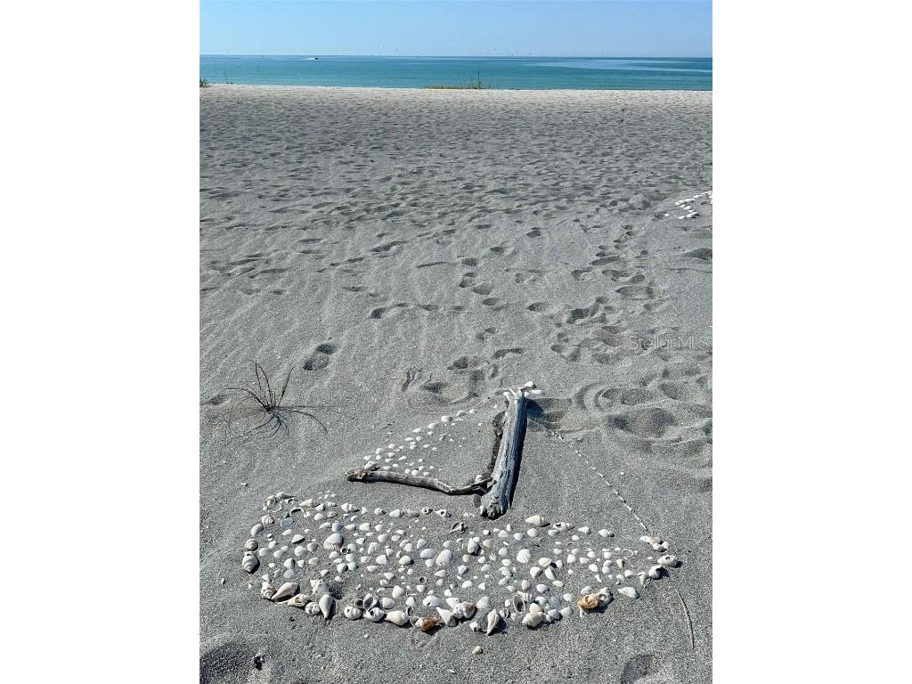 950 Tarpon Center Drive #301 Venice FL 34285 N6141734 image29