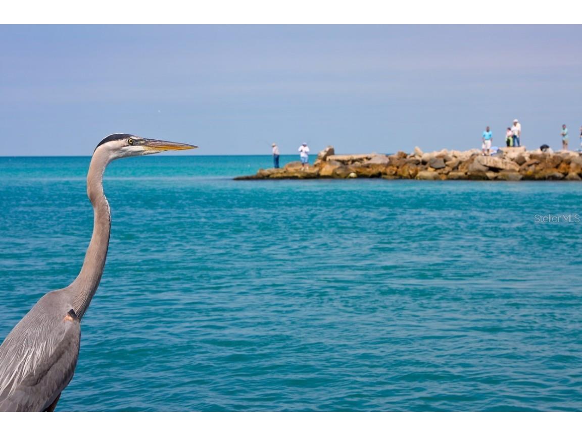 950 Tarpon Center Drive #305 Venice FL 34285 N6141657 image49