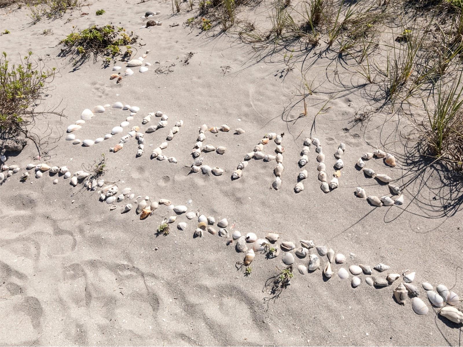 950 Tarpon Center Drive #506 Venice FL 34285 - GULF OF AMERICA N6137755 image54