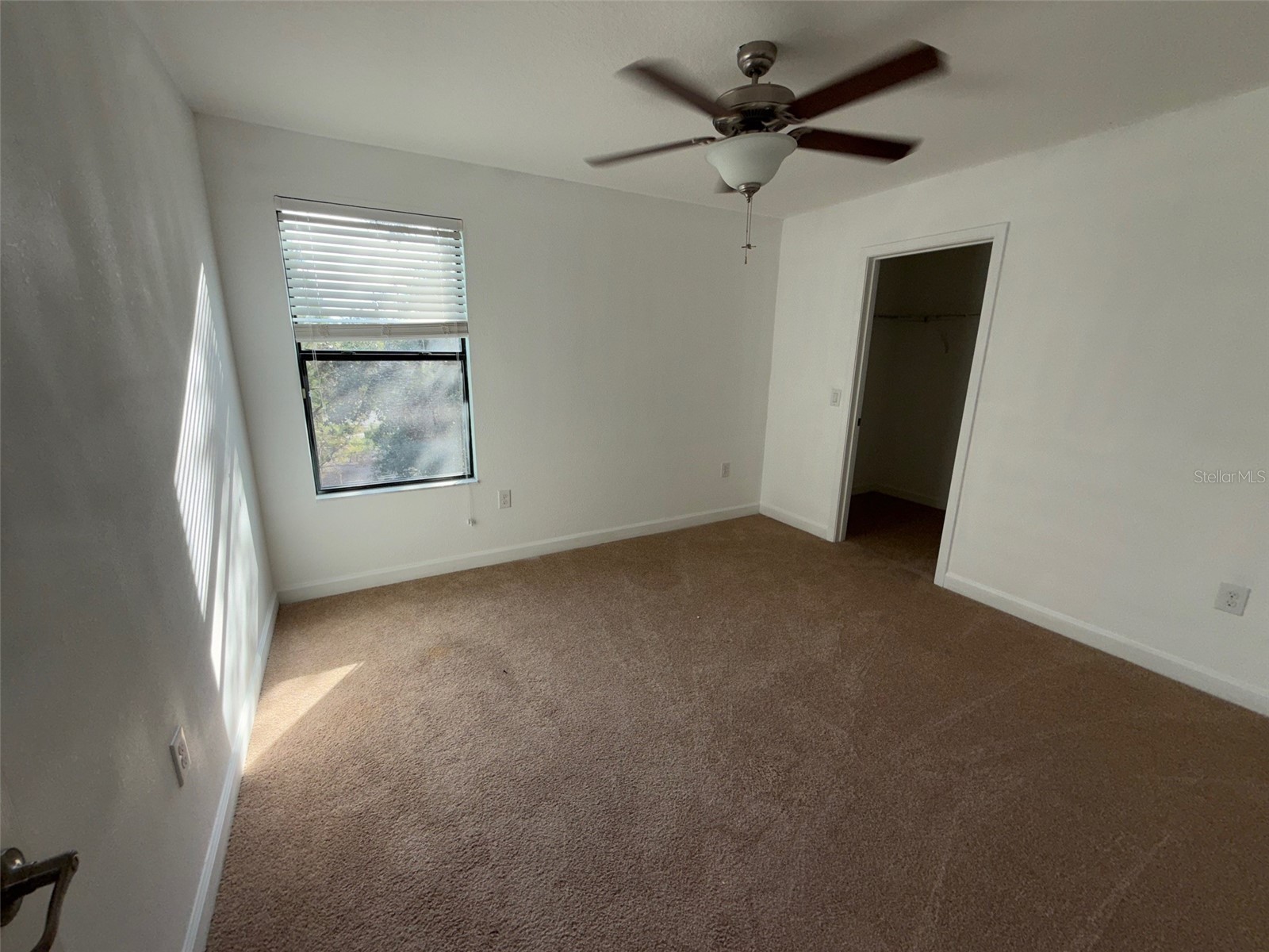 950 Terra Vista Street Brandon FL 33511 W7881921 image10