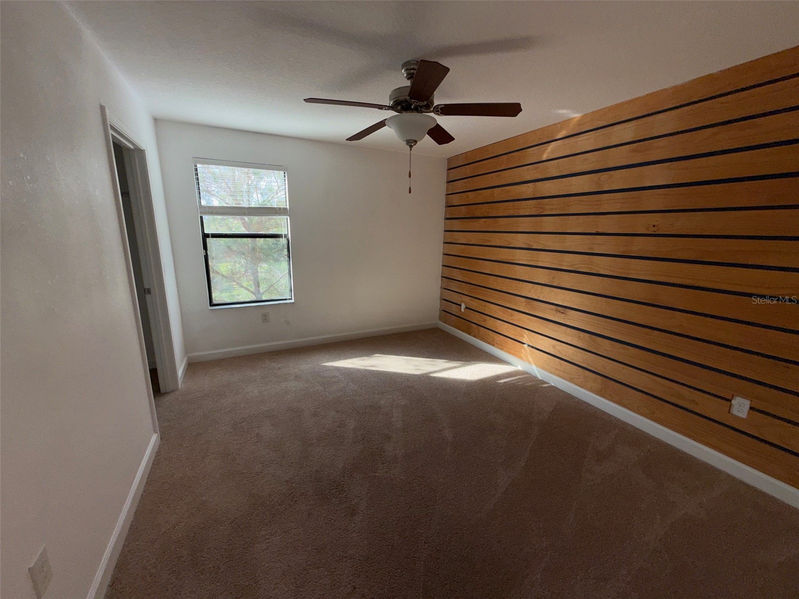 950 Terra Vista Street Brandon FL 33511 W7881921 image11