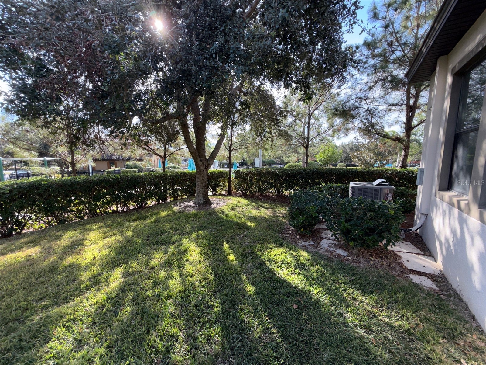 950 Terra Vista Street Brandon FL 33511 W7881921 image17