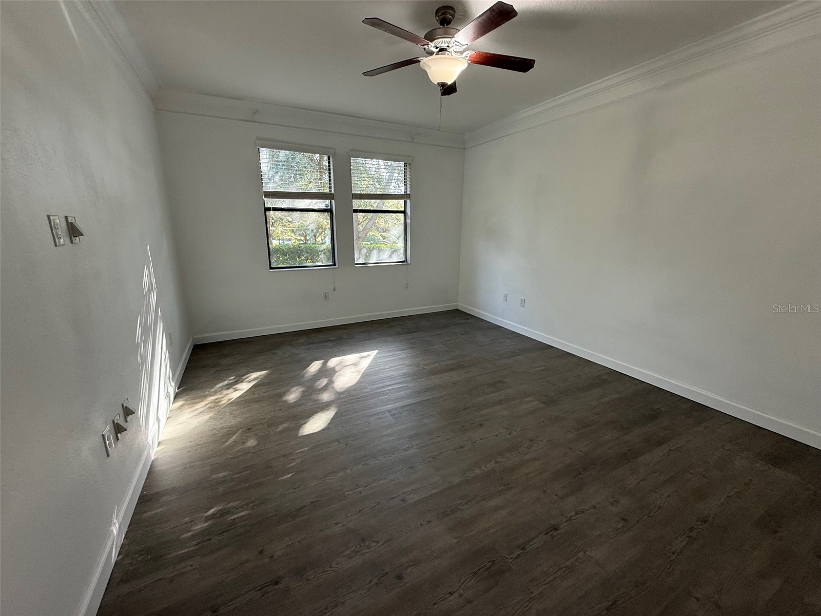950 Terra Vista Street Brandon FL 33511 W7881921 image6