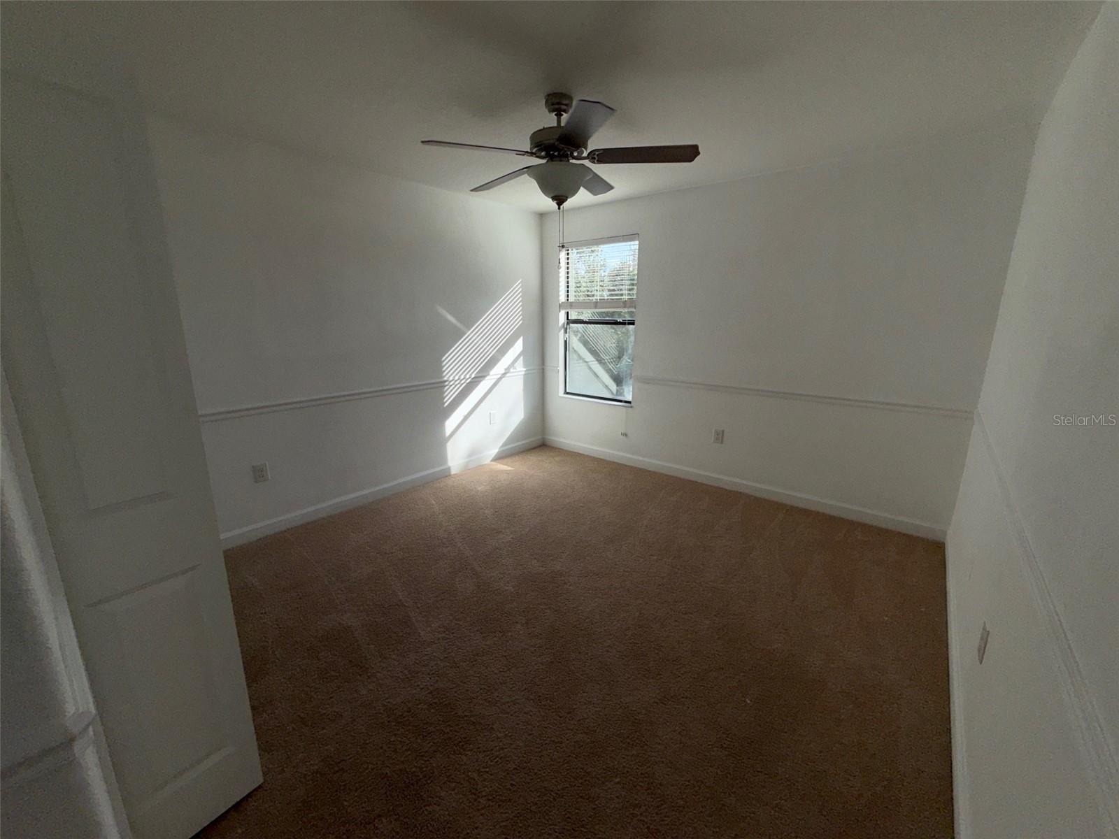 950 Terra Vista Street Brandon FL 33511 W7881921 image9