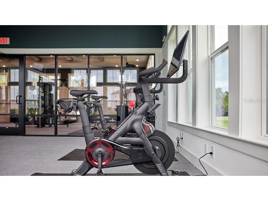 9500 Grandtree Avenue #B1C Venice FL 34292 O6355692 image17