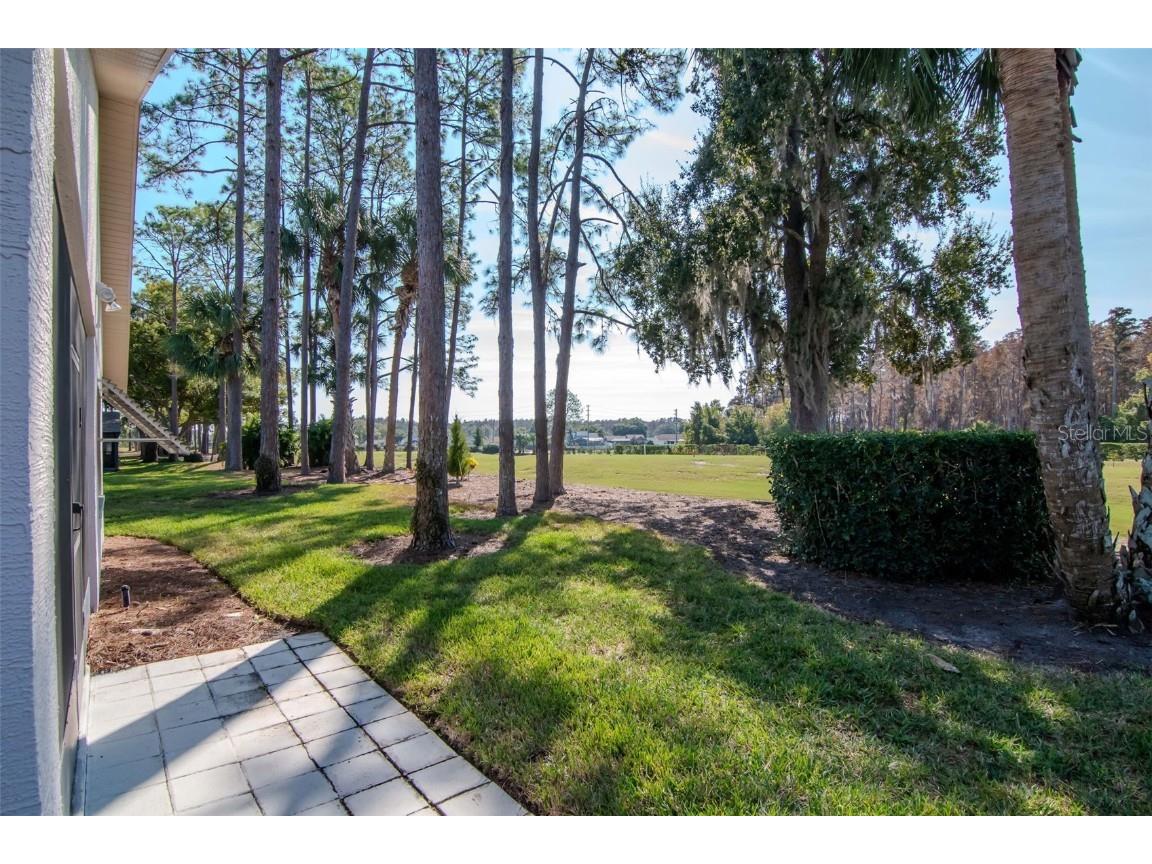 9500 Green Needle Drive New Port Richey FL 34655 TB8451656 image17