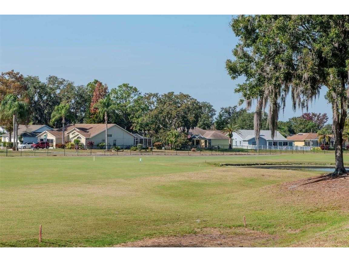 9500 Green Needle Drive New Port Richey FL 34655 TB8451656 image18