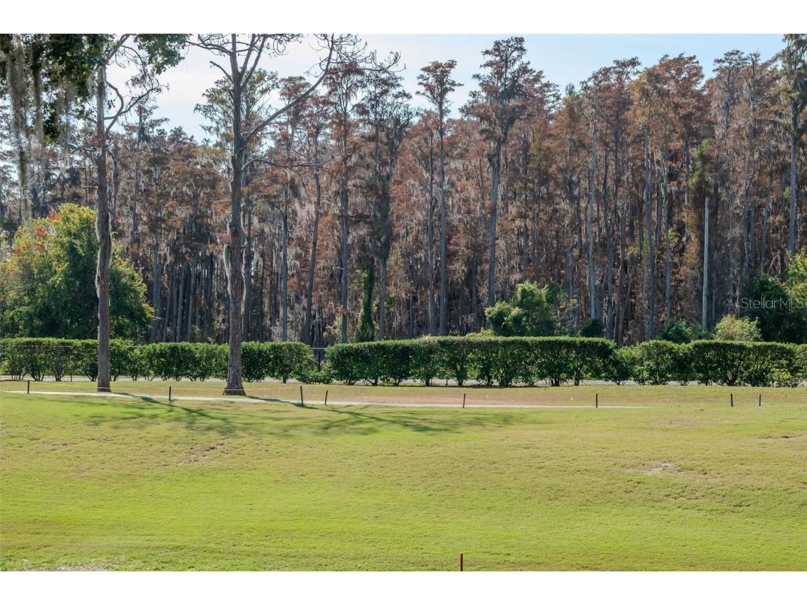 9500 Green Needle Drive New Port Richey FL 34655 TB8451656 image19