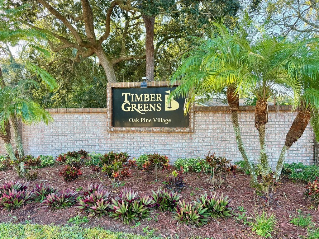 9500 Green Needle Drive New Port Richey FL 34655 TB8451656 image21