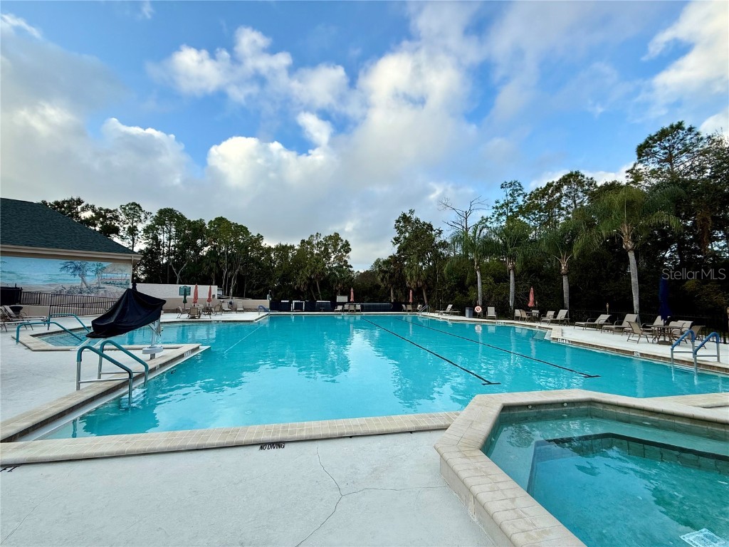 9500 Green Needle Drive New Port Richey FL 34655 TB8451656 image24