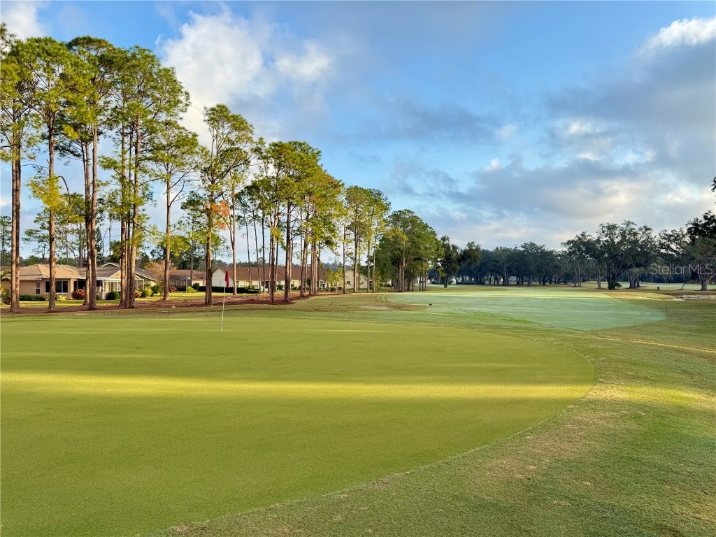 9500 Green Needle Drive New Port Richey FL 34655 TB8451656 image28