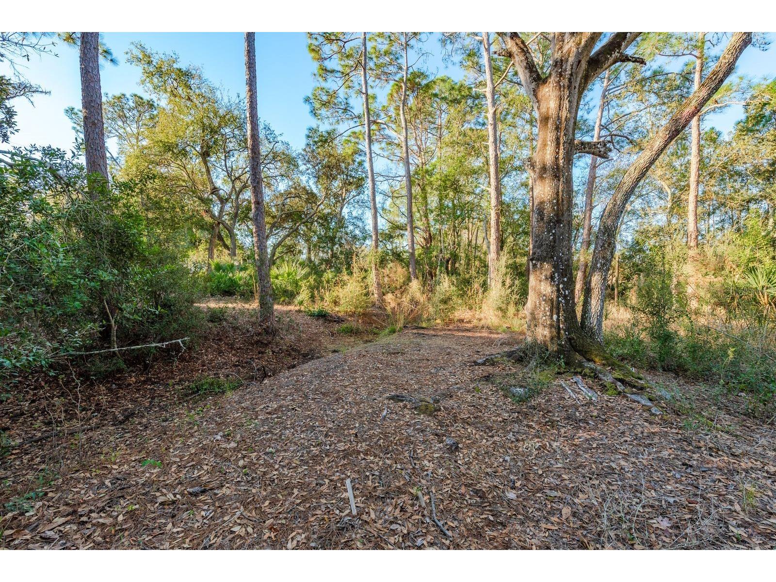 9501 Bonnet Lake Drive New Port Richey FL 34654 TB8474973 image10