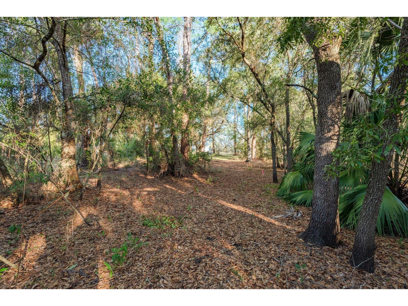 9501 Bonnet Lake Drive New Port Richey FL 34654 TB8474973 image11