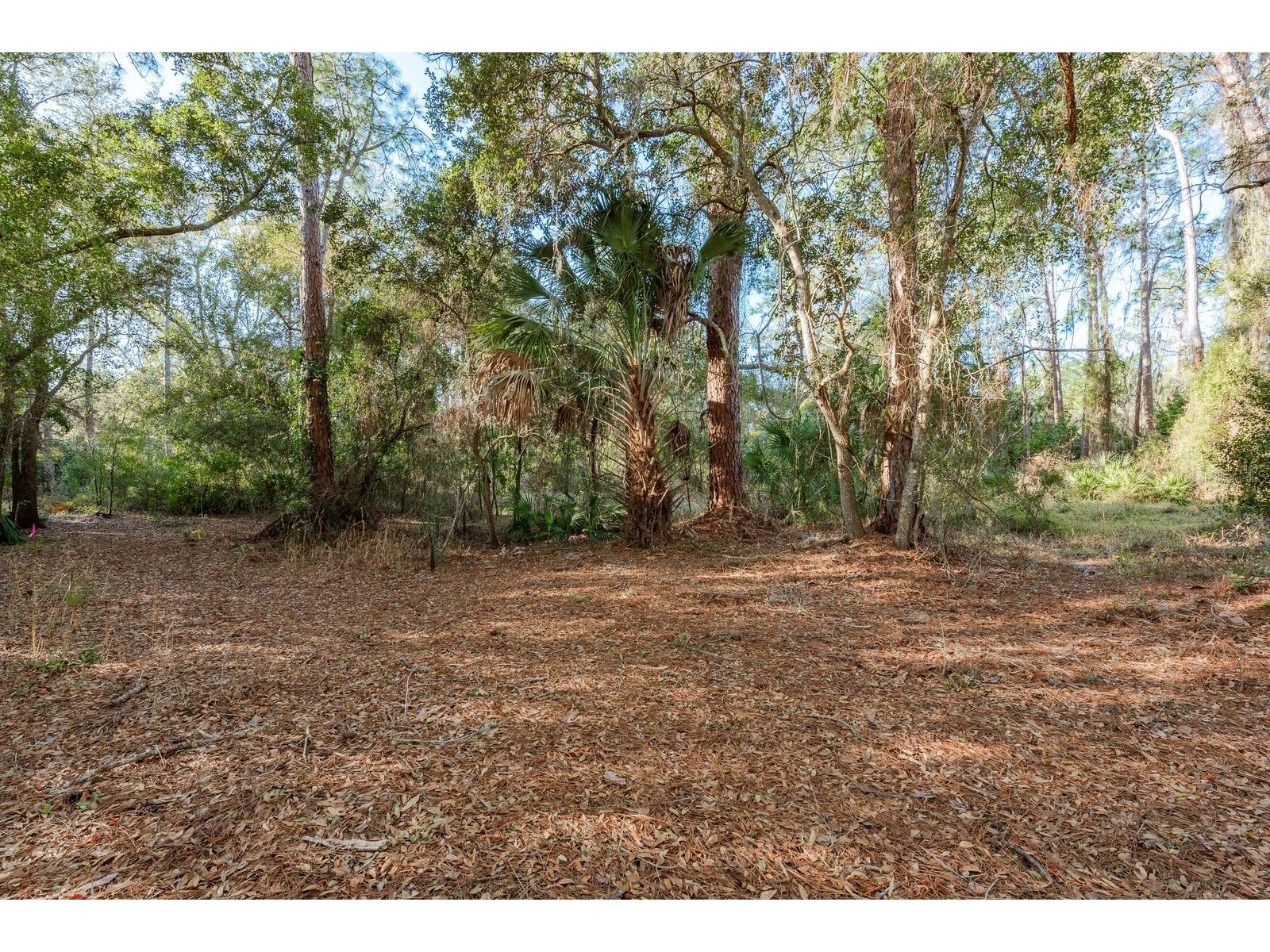 9501 Bonnet Lake Drive New Port Richey FL 34654 TB8474973 image12