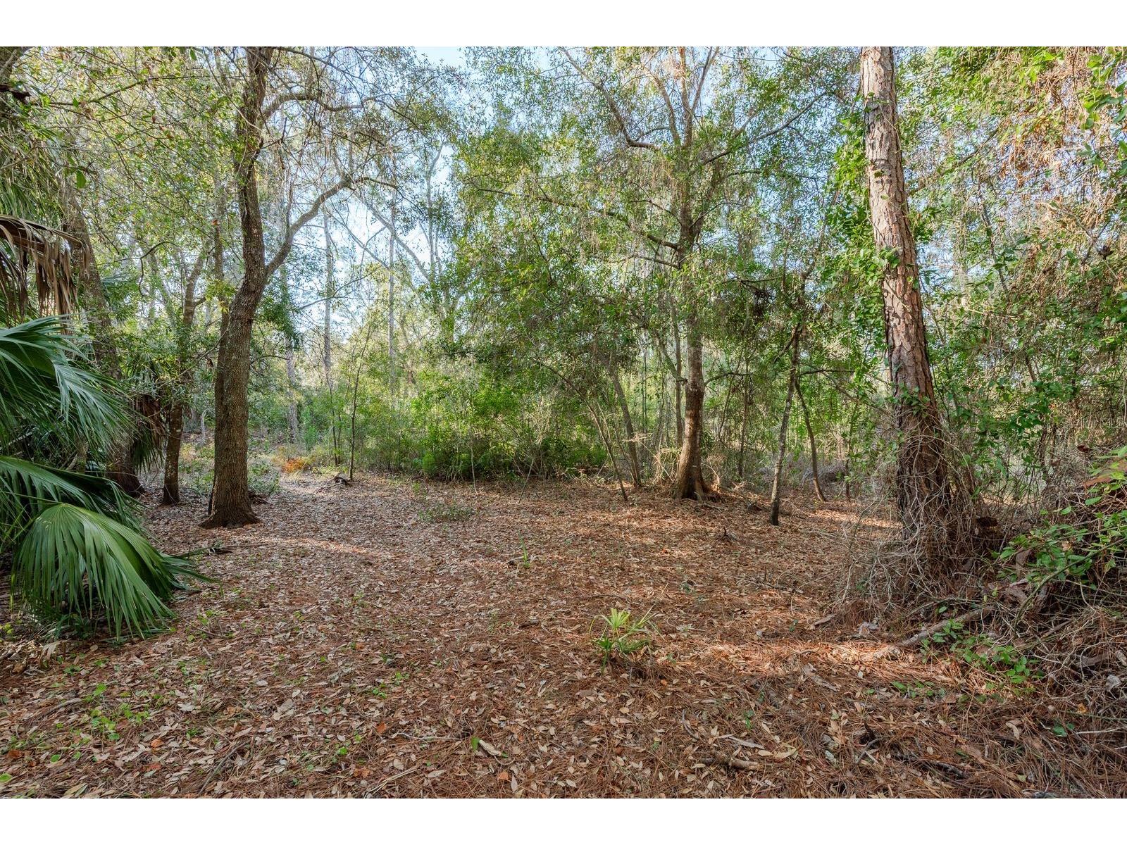 9501 Bonnet Lake Drive New Port Richey FL 34654 TB8474973 image13