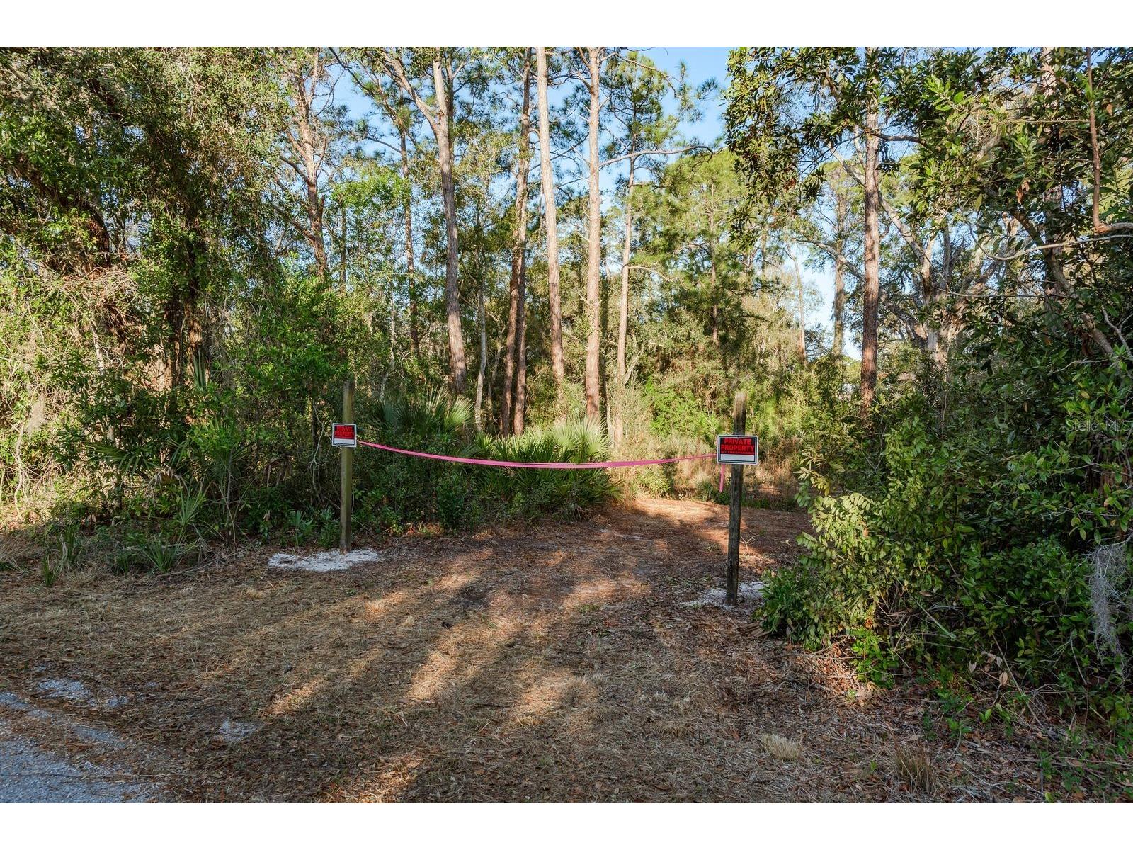 9501 Bonnet Lake Drive New Port Richey FL 34654 TB8474973 image2