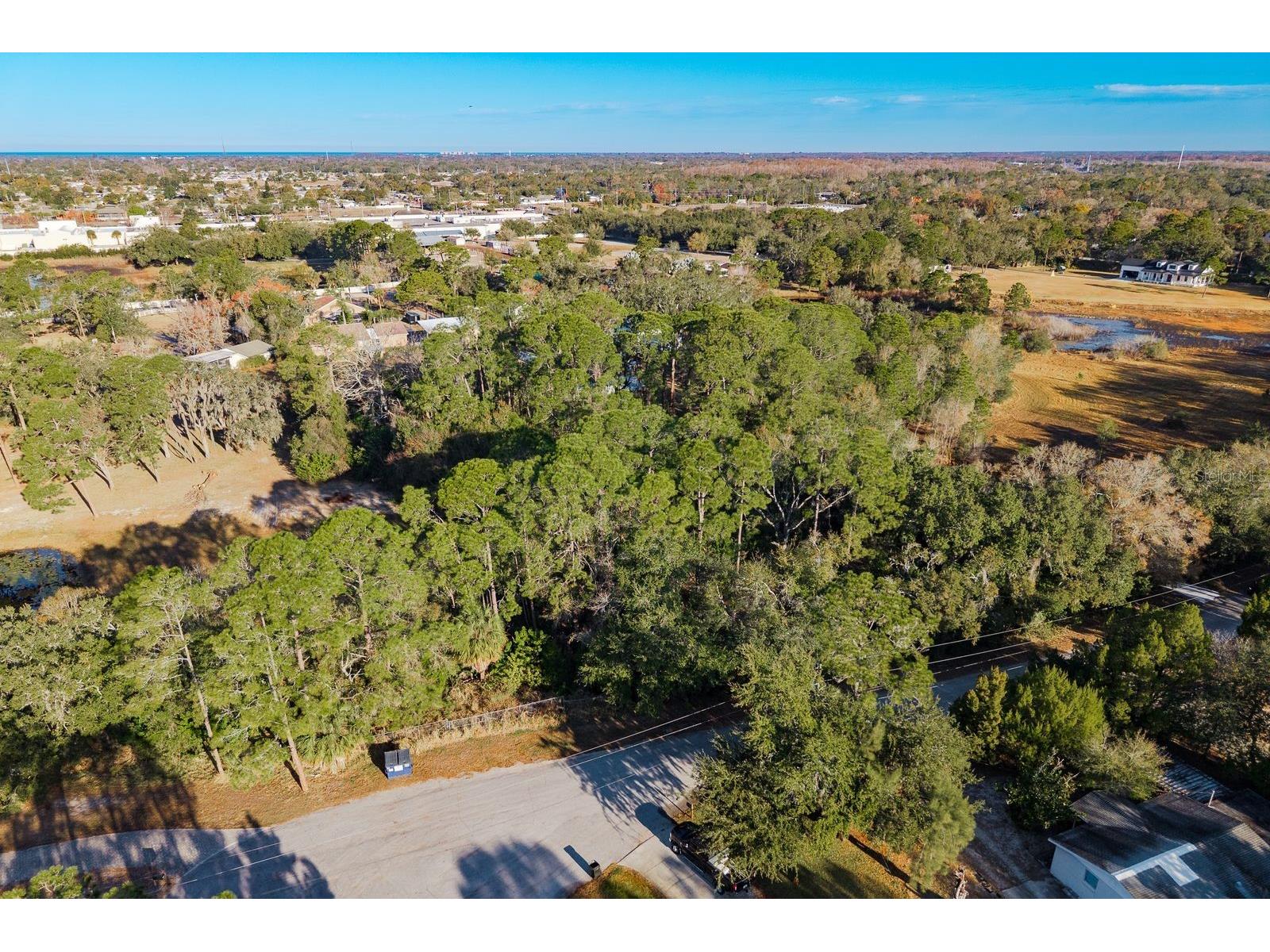 9501 Bonnet Lake Drive New Port Richey FL 34654 TB8474973 image20