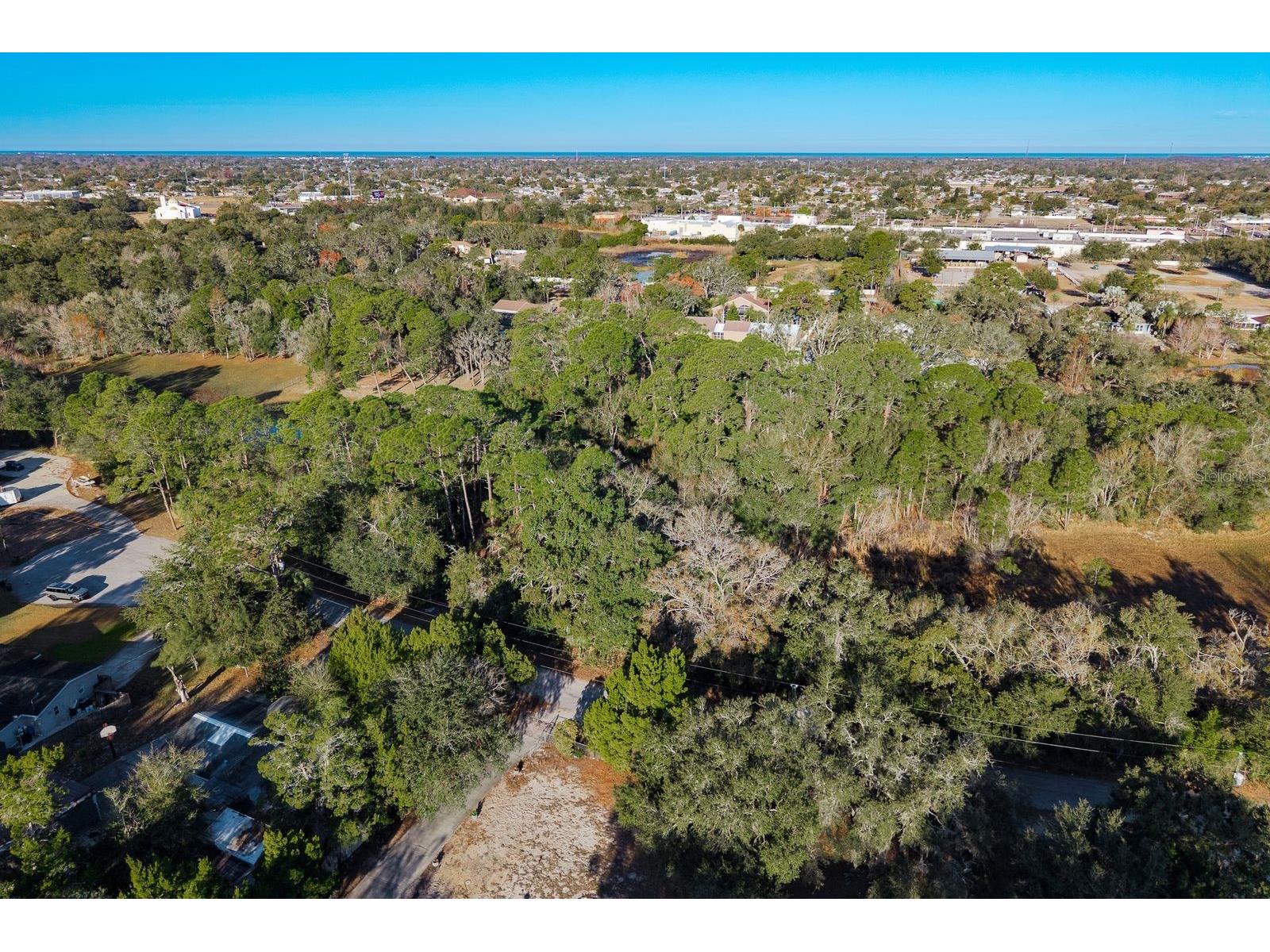 9501 Bonnet Lake Drive New Port Richey FL 34654 TB8474973 image22