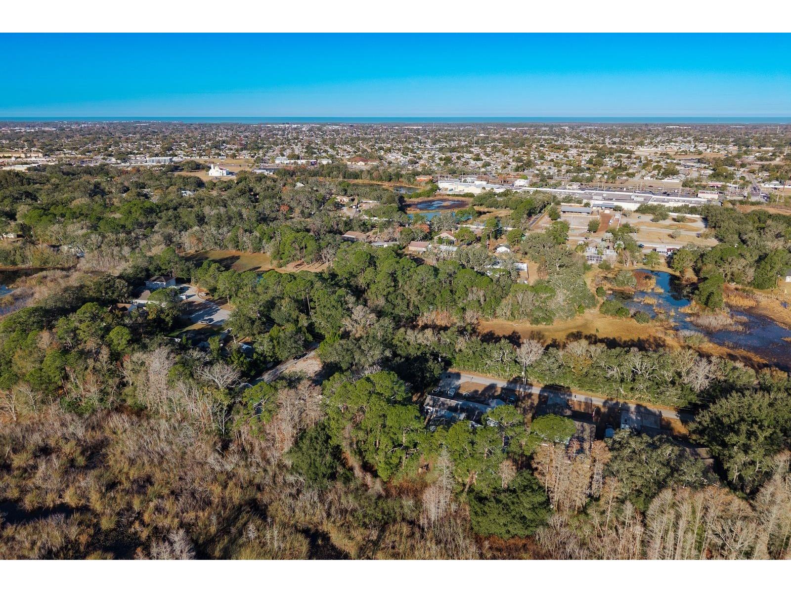 9501 Bonnet Lake Drive New Port Richey FL 34654 TB8474973 image25