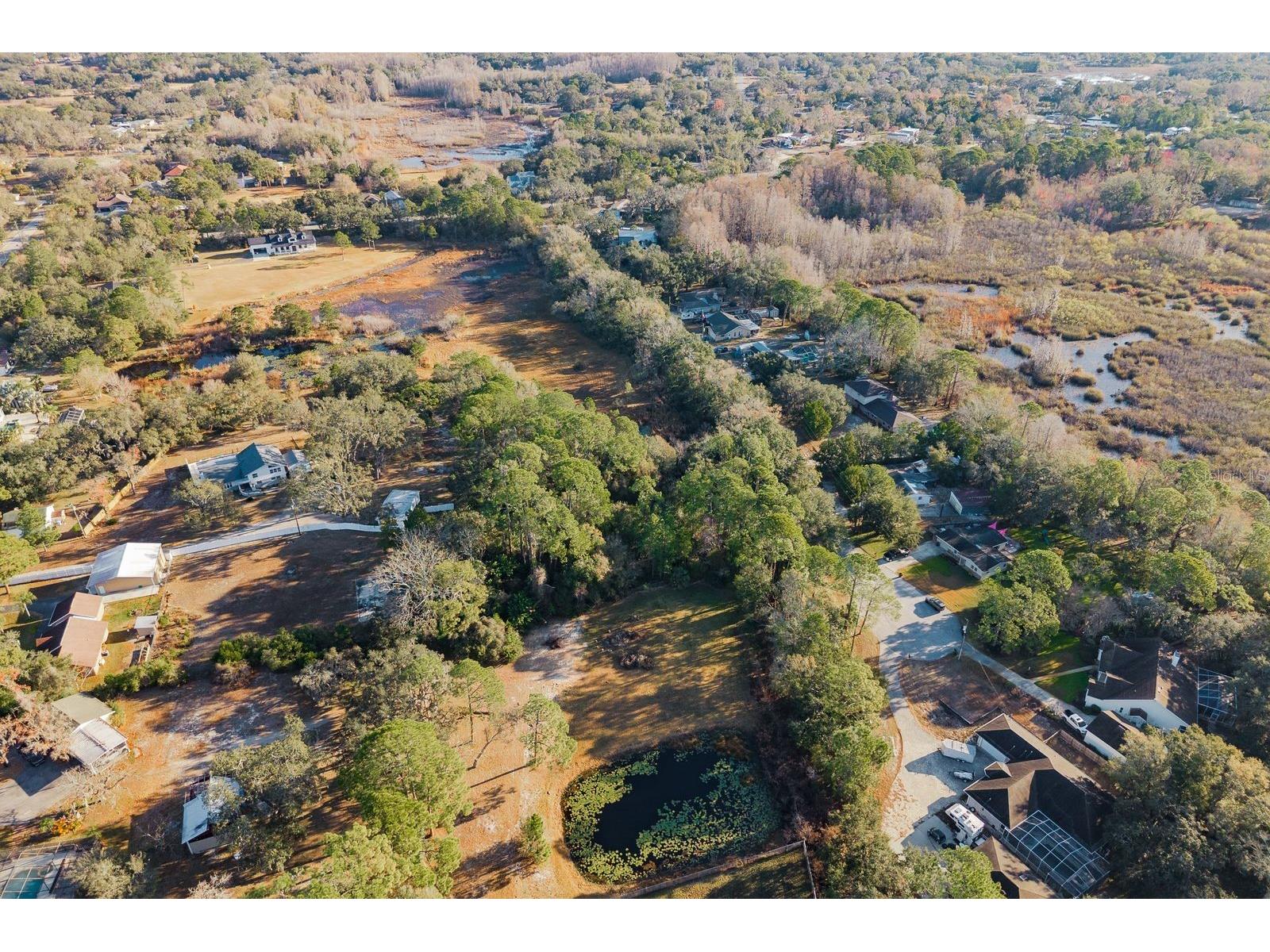 9501 Bonnet Lake Drive New Port Richey FL 34654 TB8474973 image26