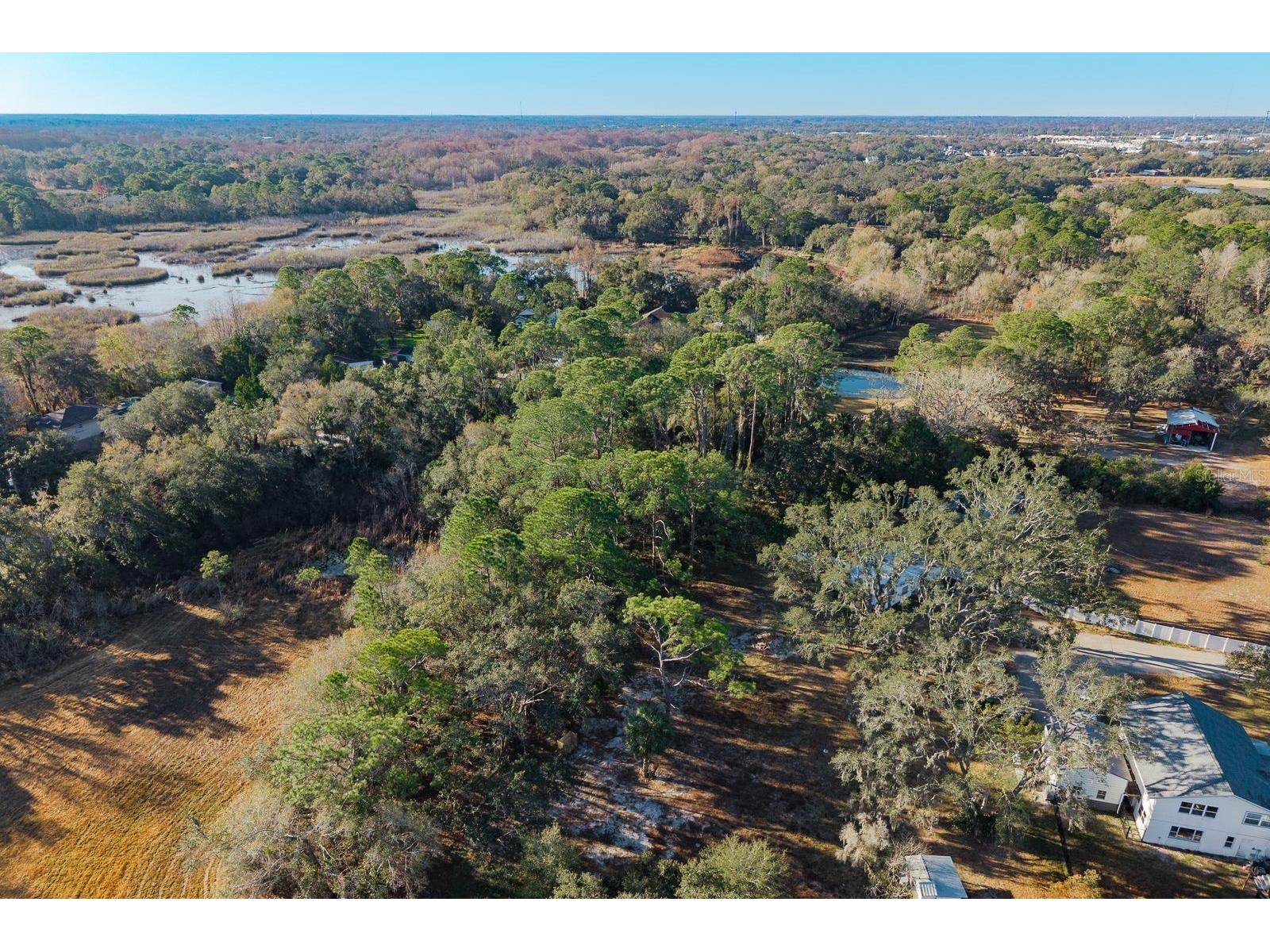 9501 Bonnet Lake Drive New Port Richey FL 34654 TB8474973 image30