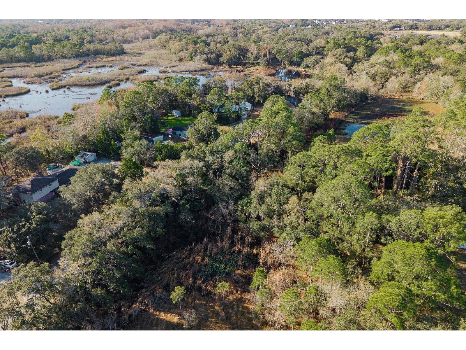 9501 Bonnet Lake Drive New Port Richey FL 34654 TB8474973 image31