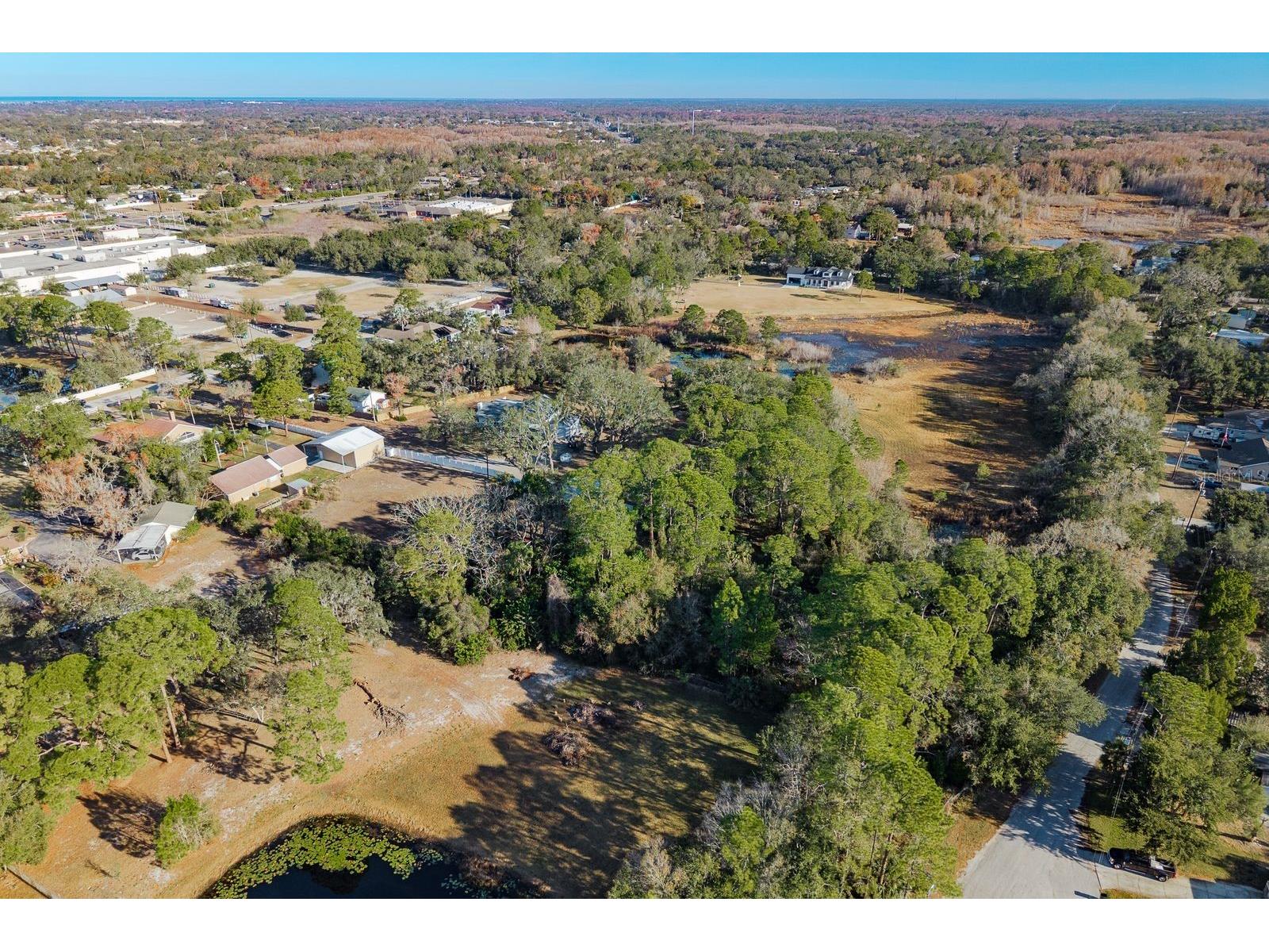 9501 Bonnet Lake Drive New Port Richey FL 34654 TB8474973 image39