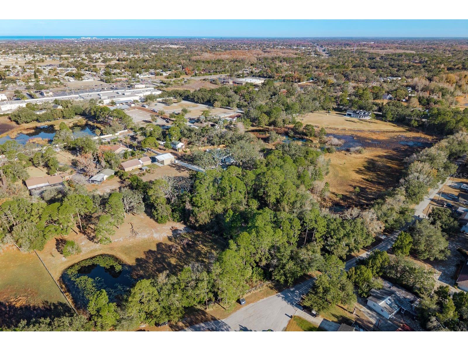 9501 Bonnet Lake Drive New Port Richey FL 34654 TB8474973 image40