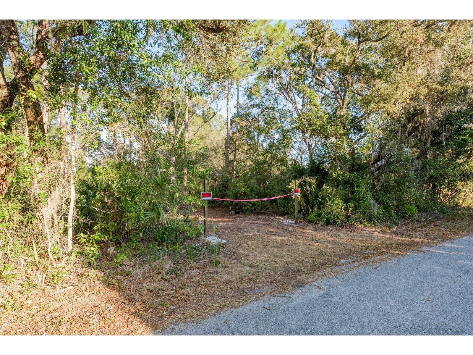 9501 Bonnet Lake Drive New Port Richey FL 34654 TB8474973 image8