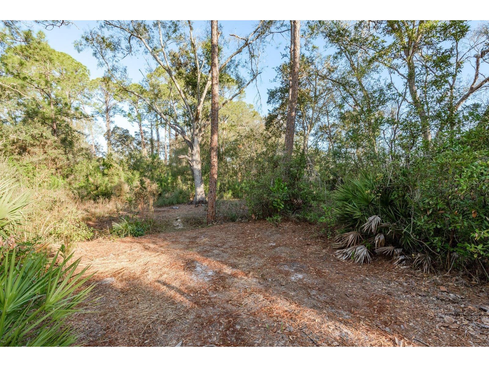 9501 Bonnet Lake Drive New Port Richey FL 34654 TB8474973 image9