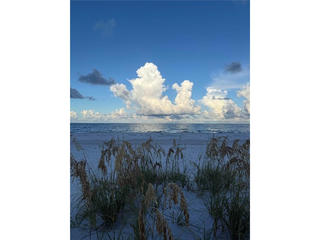 9502 Alborado Road Placida FL 33946 D6143506 image58