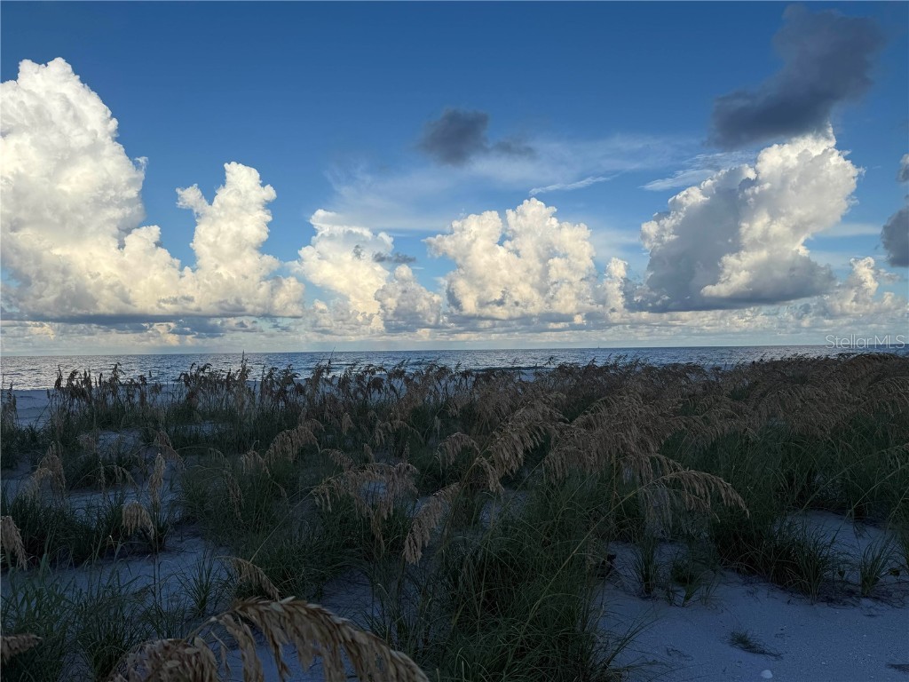 9502 Alborado Road Placida FL 33946 D6143506 image61