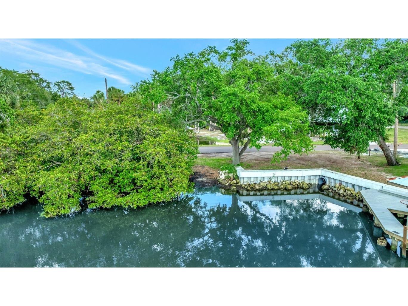 9503 Alice Lane Riverview FL 33578 O6305742 image44