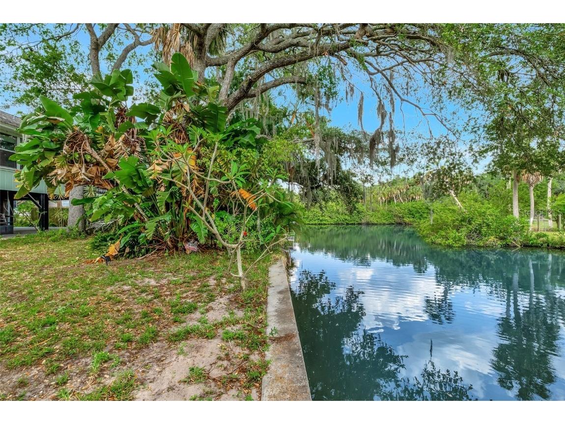 9503 Alice Lane Riverview FL 33578 O6305742 image49