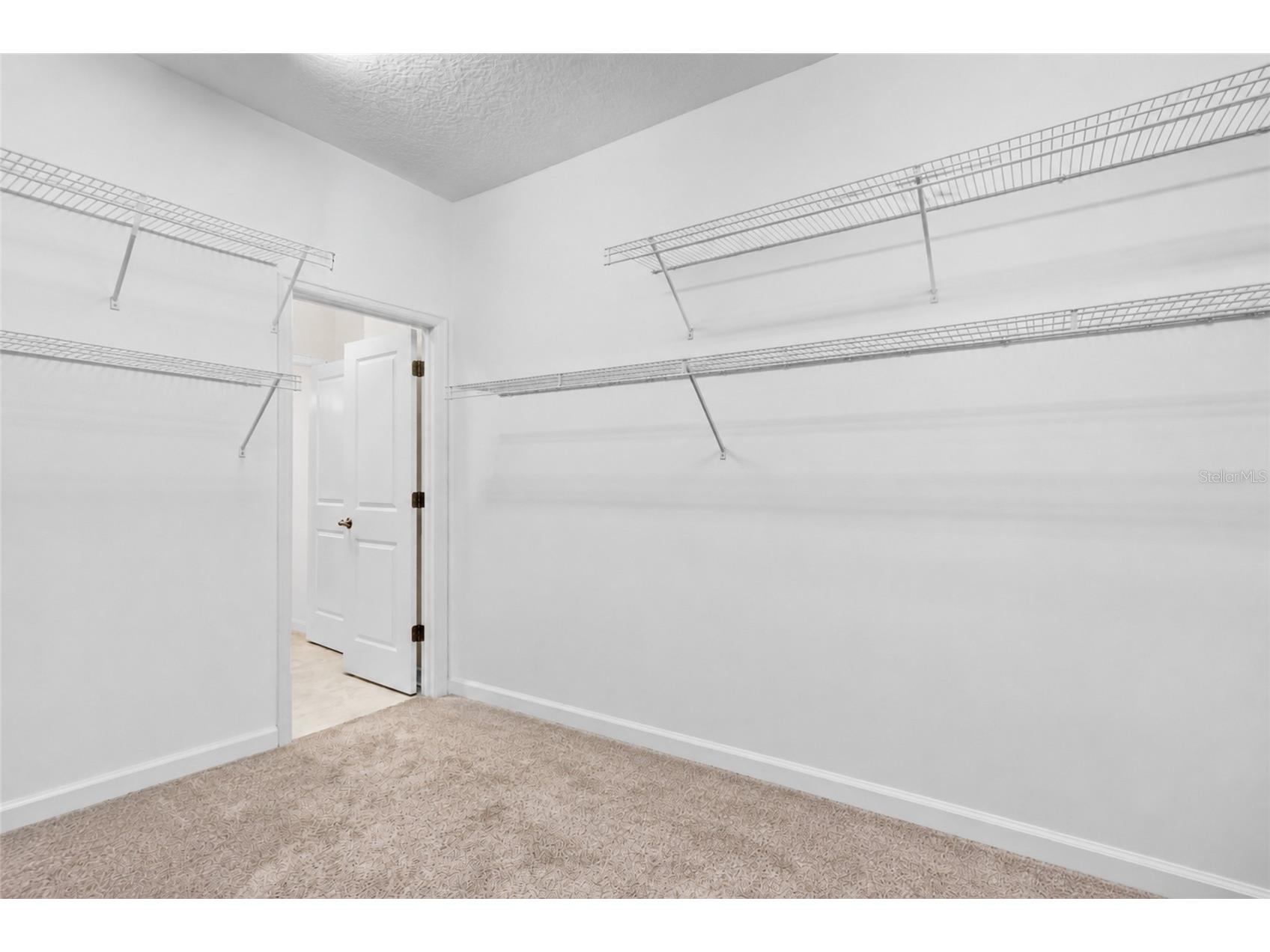 9503 Beautiful Way Winter Garden FL 34787 O6416825 image33
