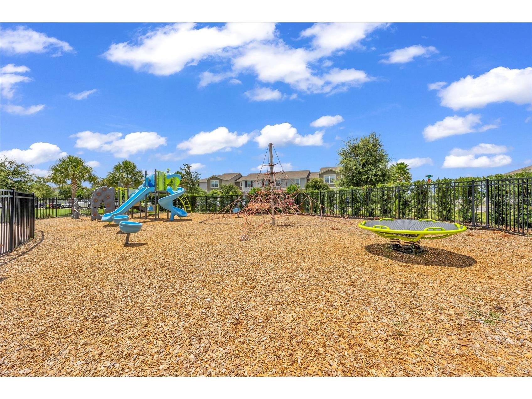 9503 Beautiful Way Winter Garden FL 34787 O6416825 image62