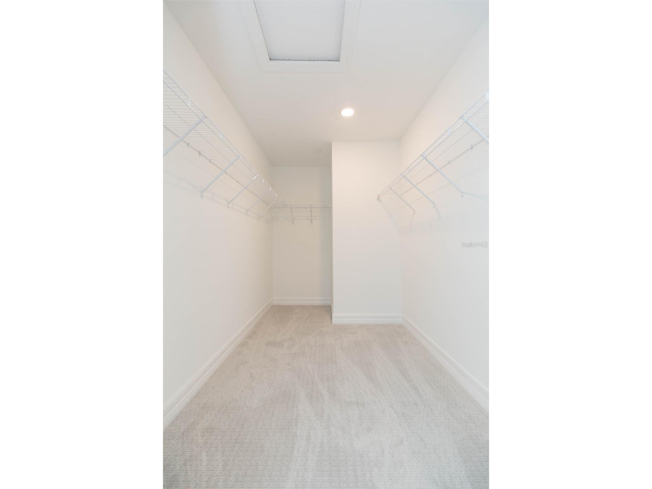 9503 Ibis Grove Boulevard Wesley Chapel FL 33545 - King Lake TB8441754 image14