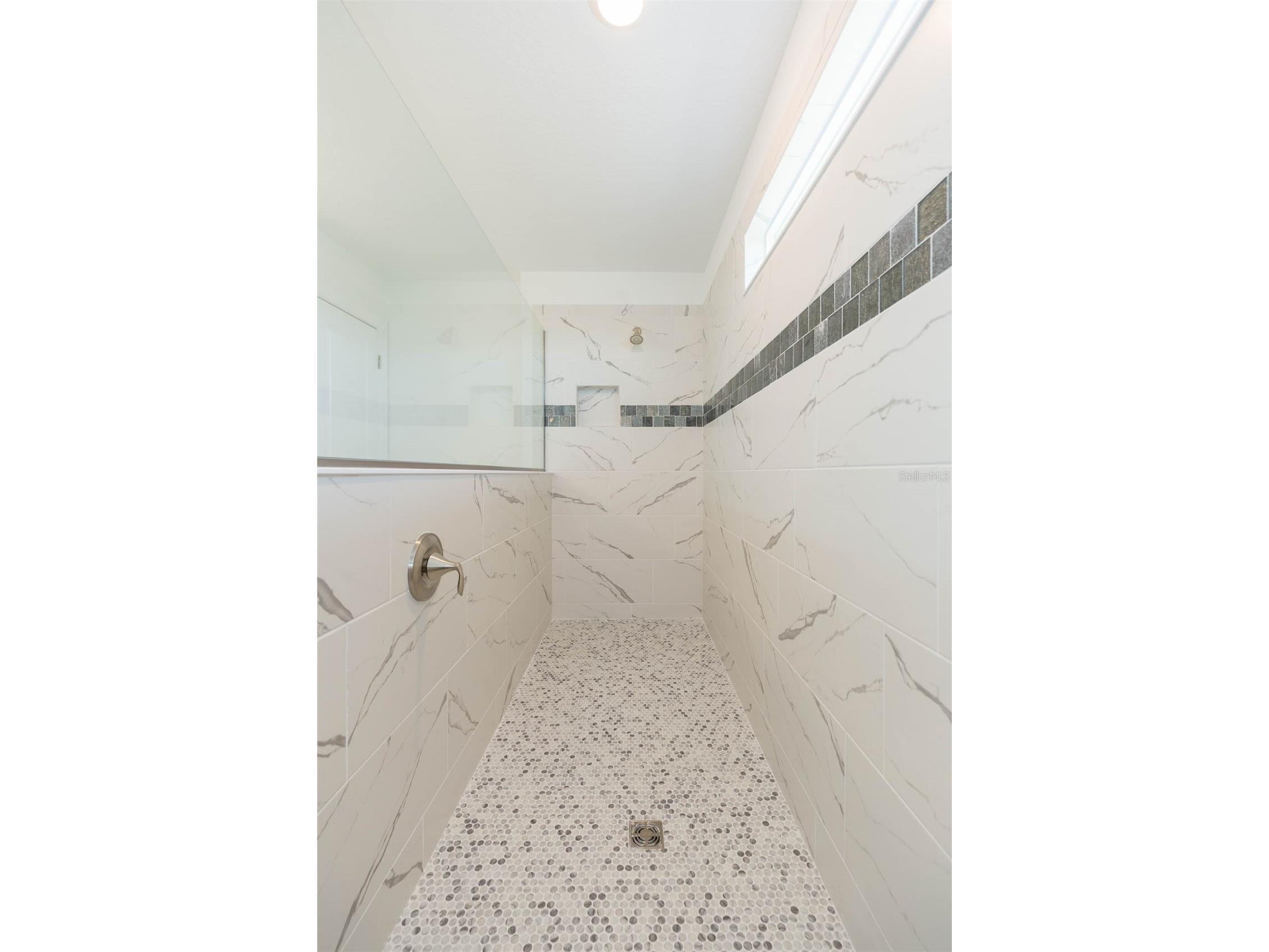 9503 Ibis Grove Boulevard Wesley Chapel FL 33545 - King Lake TB8441754 image15