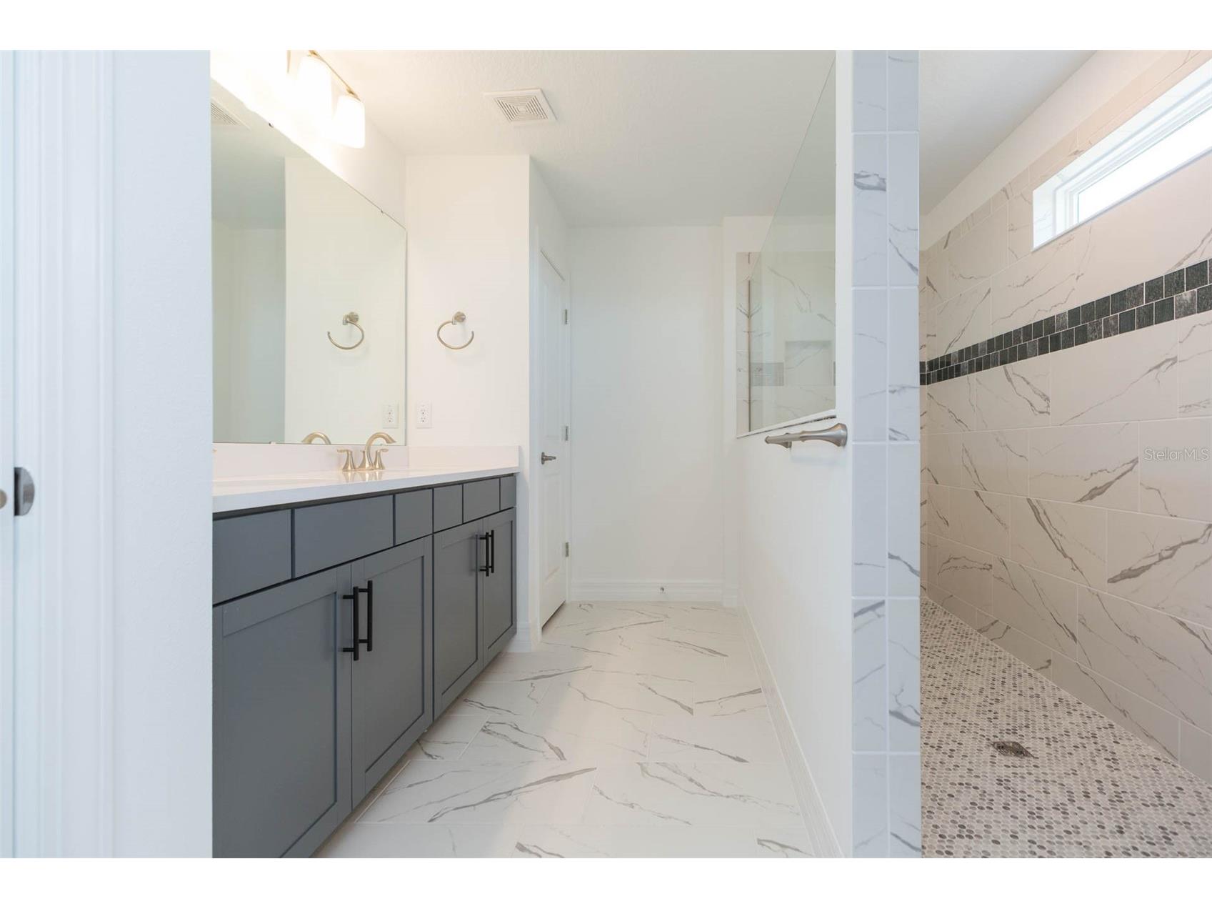 9503 Ibis Grove Boulevard Wesley Chapel FL 33545 - King Lake TB8441754 image16