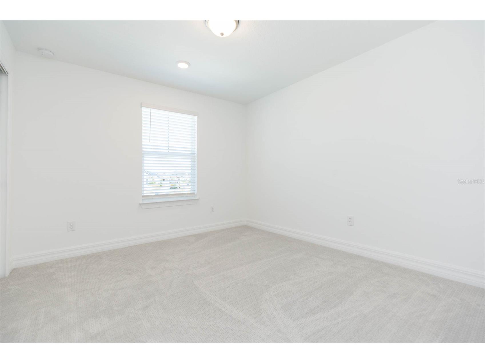 9503 Ibis Grove Boulevard Wesley Chapel FL 33545 - King Lake TB8441754 image17