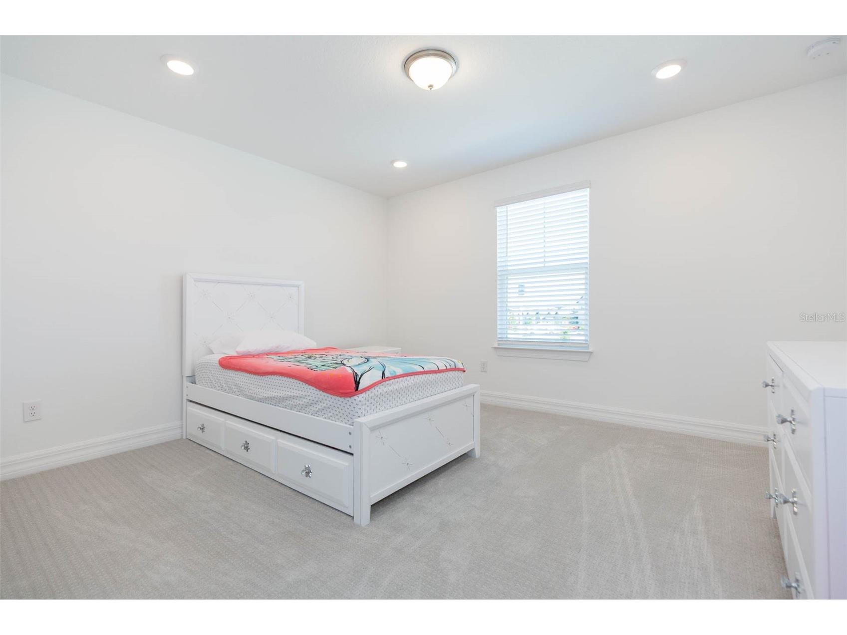 9503 Ibis Grove Boulevard Wesley Chapel FL 33545 - King Lake TB8441754 image18