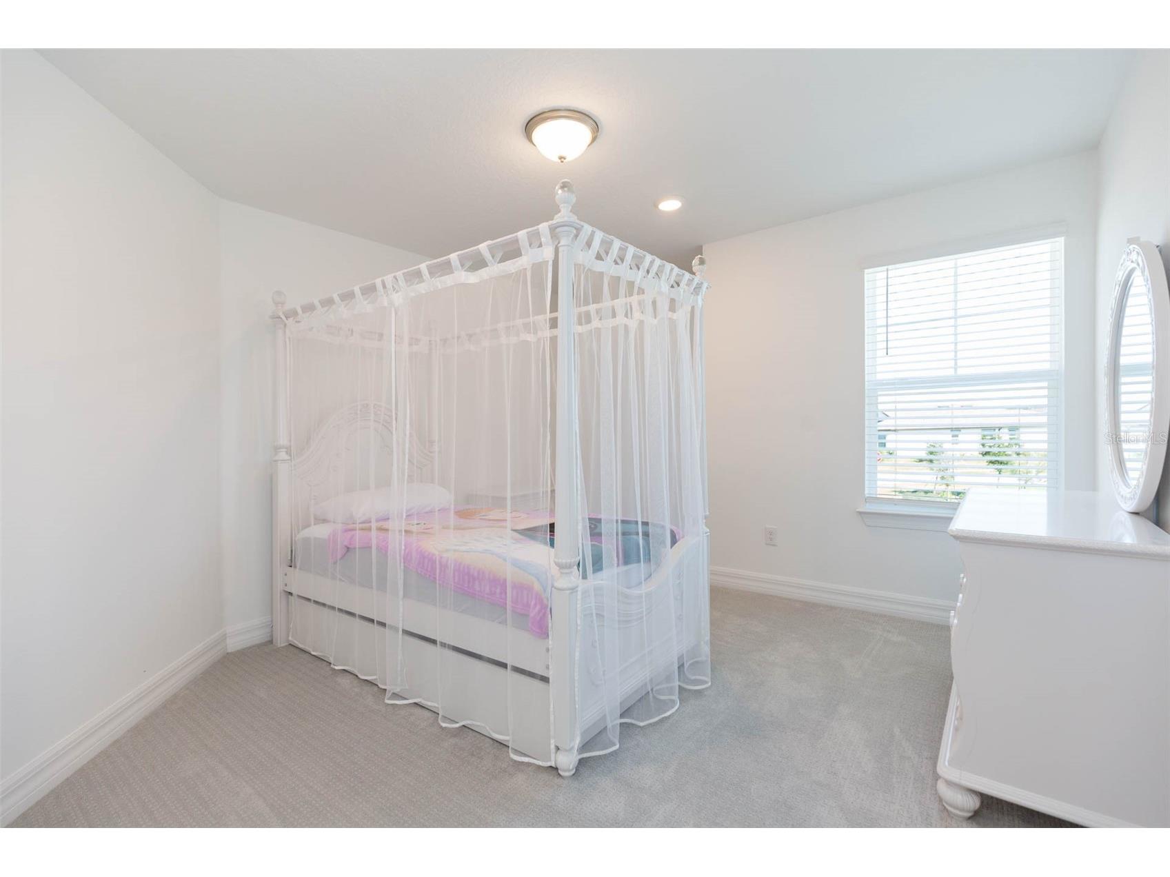 9503 Ibis Grove Boulevard Wesley Chapel FL 33545 - King Lake TB8441754 image20